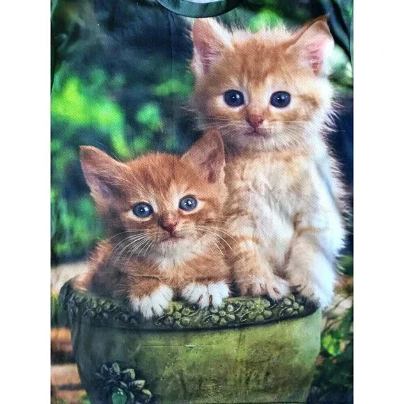 Twin Kittens T-Shirt Men's Large Green Short Sleeve - Picture 2 of 6